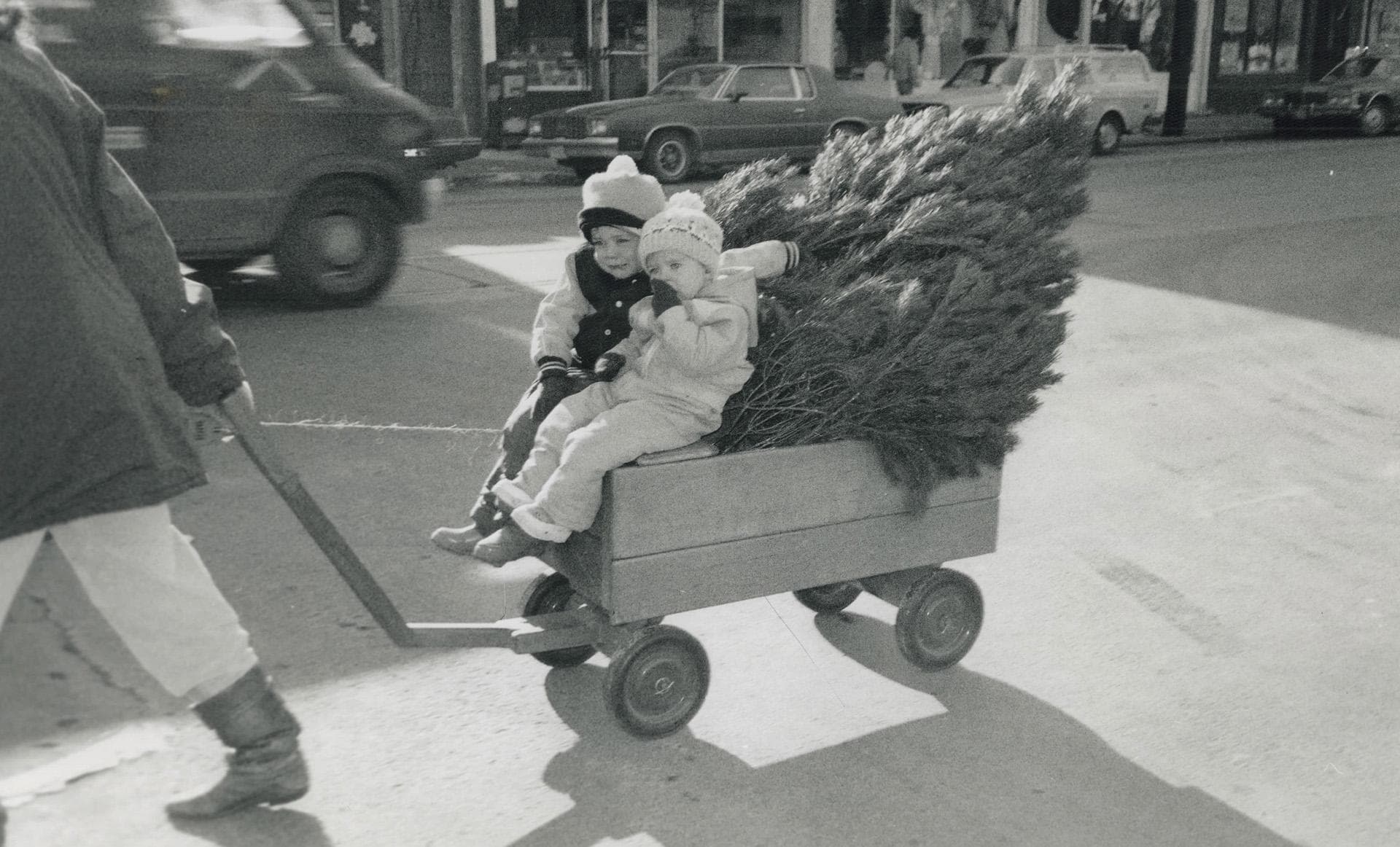 Why do people put up Christmas trees?
