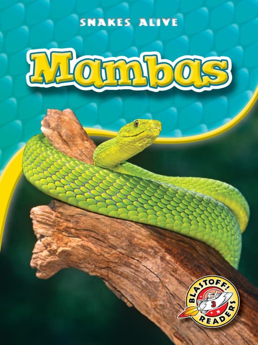 Mambas