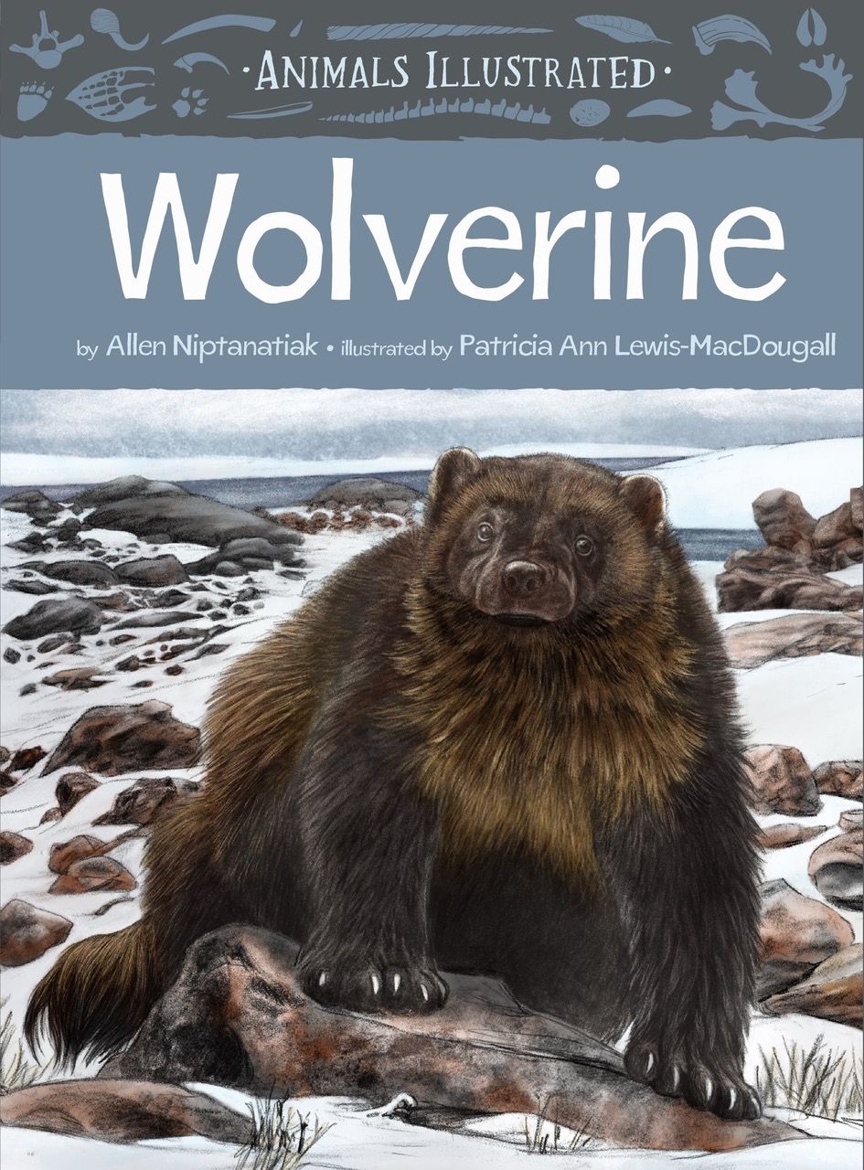 Wolverine by Allen Niptanatiak and Patricia Ann Lewis-MacDougall